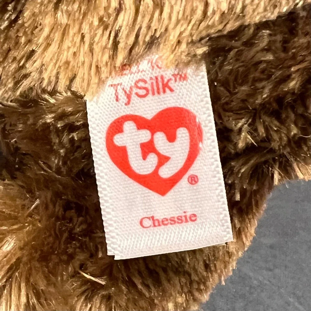 Ty 6